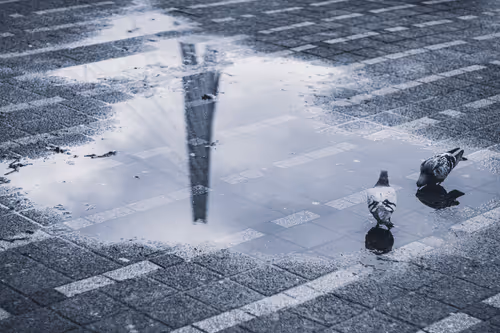 Item #63941686978381941053943929737968123784537789017631438611022902620619085447169 Media