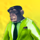 31911339777357854036020653073866526525373895496835754151167692608662008758273