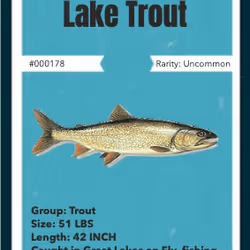 43502264269384842523243150070095810631836830099831581701628992050517478735873