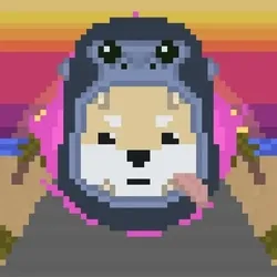Rocket Shiba #3782