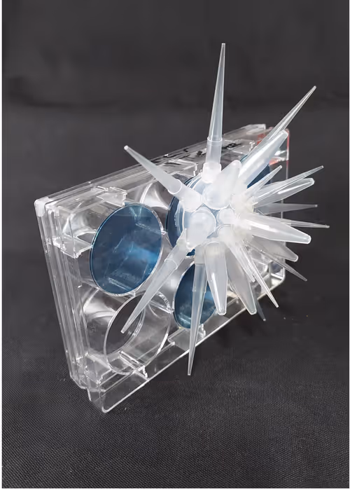 Item #108955583872739655741702358868652756405273862791069305959596897656626902728705 Media