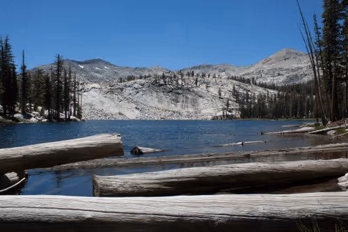 Item #21039072579662627083950365953116691379862102836667231441019030762532850630666 Media