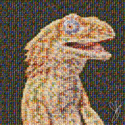 Stinkeye Beardie All Of The Above
