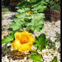 3787080761074609709675817509753112159059746763483256848434353882152338194433