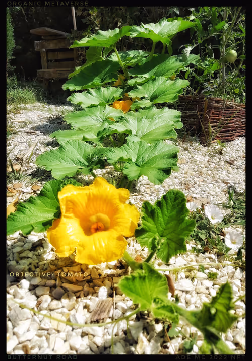 Item #3787080761074609709675817509753112159059746763483256848434353882152338194433 Media