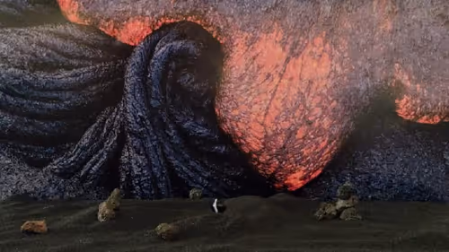 Item #32382354995311206636930955851818118108425029471473268411146207509606150701156 Media