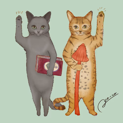 Item #105562655190306723800787329026794660314466257561273546456896713184458613719045 Media