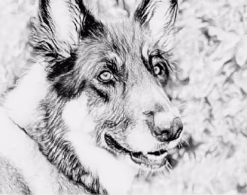 Item #23143313246472061328071561115701105421589606567298838424350448124748313395201 Media