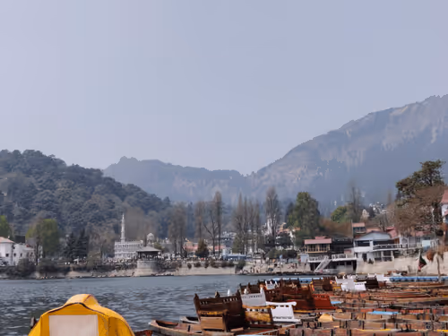 Item #28492546344238997982627040595659913257173957231691920694804582512370688983041 Media