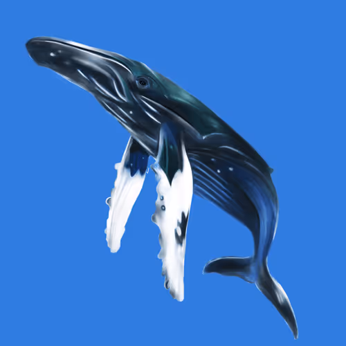 Item #106782413735208635119902631954591554085326486198823525899390614907683233333249 Media