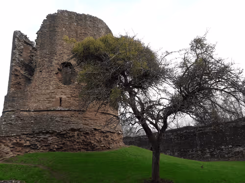 Item #14554815761844439646963719430362706601725479833318657696488567451702007955457 Media