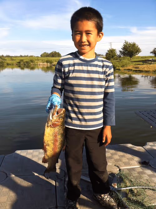 Item #12589528808992671877161915641981389519275804934798930887943267490049816526849 Media