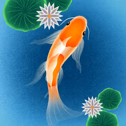 Koi Fish