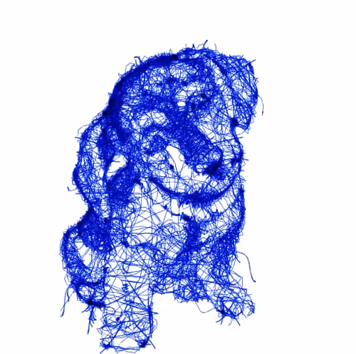 Item #42059672892338906020787094294698546649259902185021558045879375095316208418817 Media