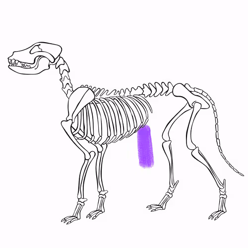 Item #66115251428437251400949335005857765940906863007353817121707627013247592300545 Media