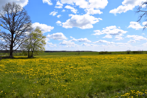 Item #25048395052866519615583306303043483840076282884633851044387431706983479115777 Media