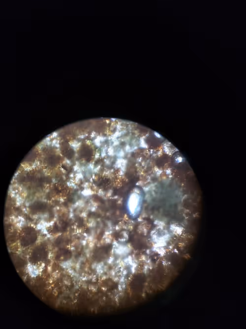 Item #12499860690887257293727532681291822536045842218714555575181684142875300855809 Media