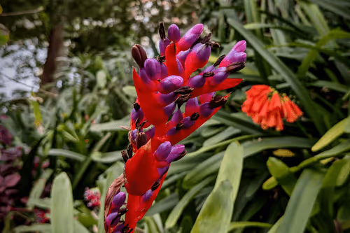 Item #39075669952795110311488058078452160275975432518977374571902800603621623857153 Media