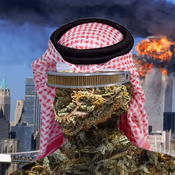 21688527815507990779780435242269546376679550267989735943769097619782689095681