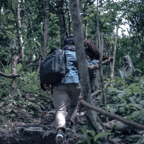 Item #71898613365774394208486532838091089742538987578281713843542554833689035931649 Media