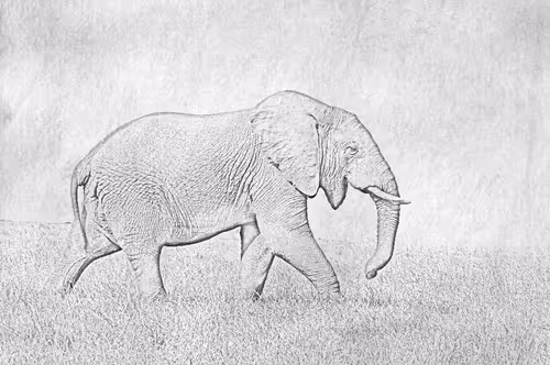 Item #104571871624713793639651805658793486494192065920849225127728493734298998800385 Media