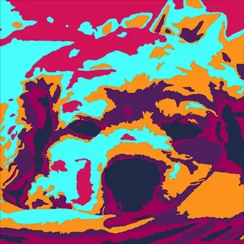 KIWIDREAM Collection