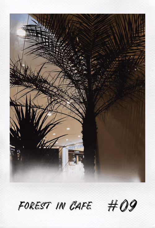 Item #18140997515377128160158968523159996217114177241971252652829514314470645563393 Media