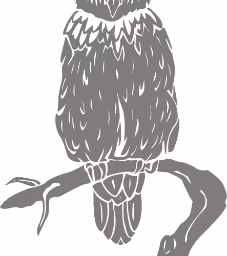 Item #75776148157817314867146223049002809129688056252357366631196061671372674301953 Media