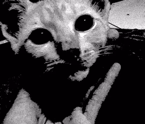 Untitled Collection #435588045