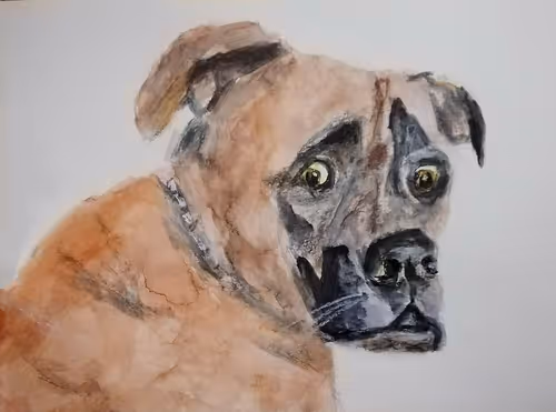 Item #53661683660994396488981893260373811515315705590489664499670501597018673219232 Media