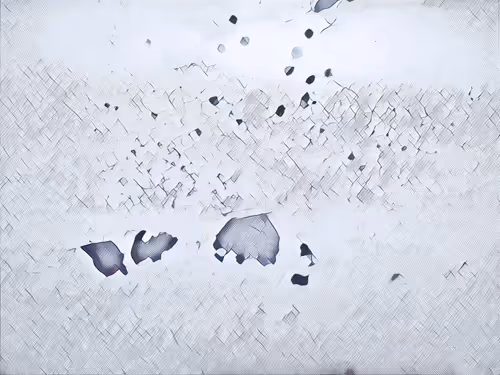 Item #16558374224031309544810590642259060897408029573872384606006677158468522082305 Media