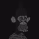 74424724069056780609106146593671190440532608114500742571021334407551408668673