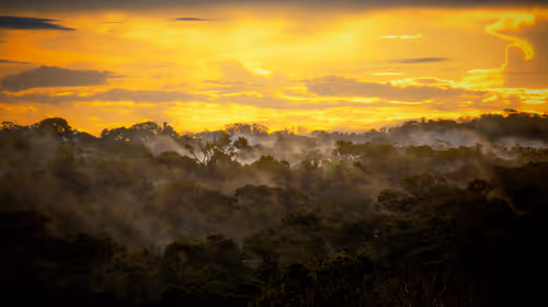 Item #45576425564904372626892608315059614446222544919153294335331944286351179907073 Media