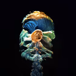 93923887731966639760197662534300547726212510779526051617655967305218540961793