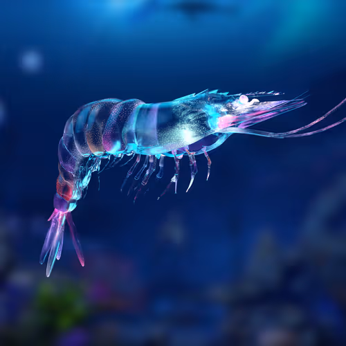 Item #83786750606513419256280086866858236619621038147804989423377146071070118248449 Media