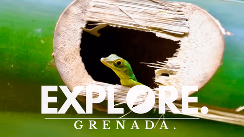 Item #55167293475857333829963200193227146355535503943447662520927477477464871010305 Media