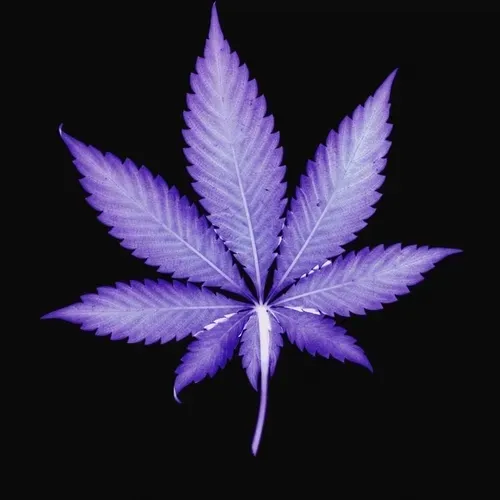 28129698307208832899864603379983005648508892752257228648004562660616799528720