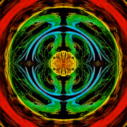 BITTER CHAKRA
