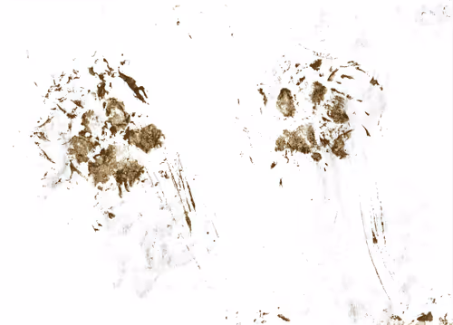 Item #94376759896302123799325223157901749771994620698269210834977082547237965266945 Media