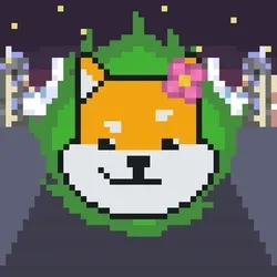 Rocket Shiba #9917