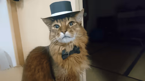 Item #88680272721371285934501562988049178859599418492822572919113237416881147609089 Media