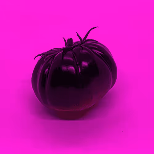 Item #110692649264369377071495627220392981109400302920527361961030166666781625679873 Media