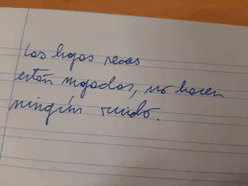 Item #63465233050265892081607428554456565168245465593725857968932052397963375280129 Media