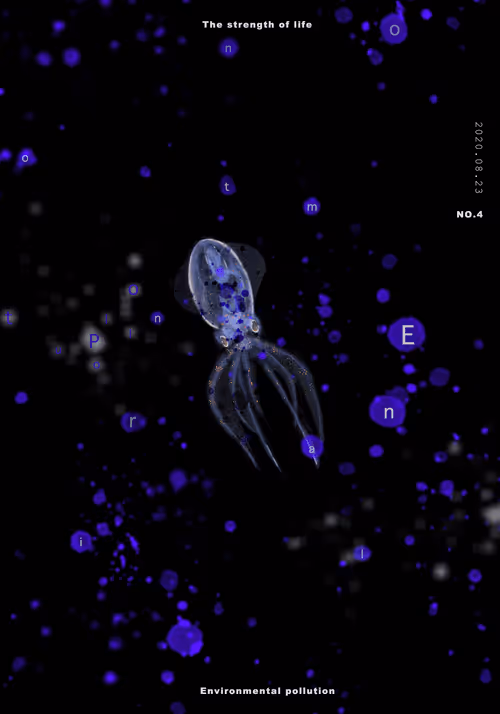 Item #49380836627770662733359422450185159630436709343046895638781015835459362750465 Media