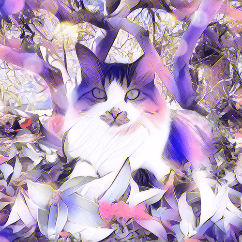May-kun