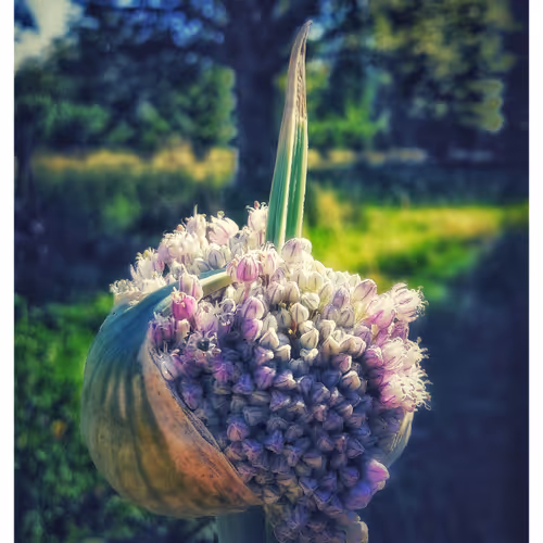 3787080761074609709675817509753112159059746763483256848434353529209105678337