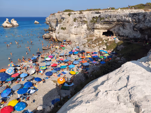 Item #43505702085321246701285015339688837487321998718285252344027785161141414526977 Media