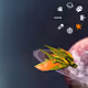 31102932399496262666090974675384175666986570676871467981873473295710966251521