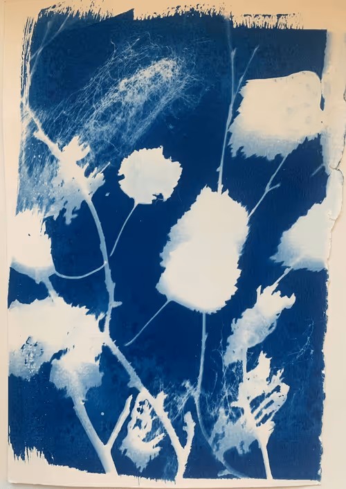 Item #79708962715556691089278777526445721574606898875148265995553784926011998076929 Media