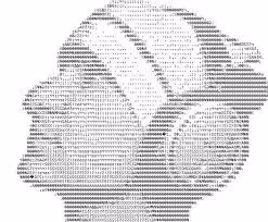 Untitled Collection #279360257